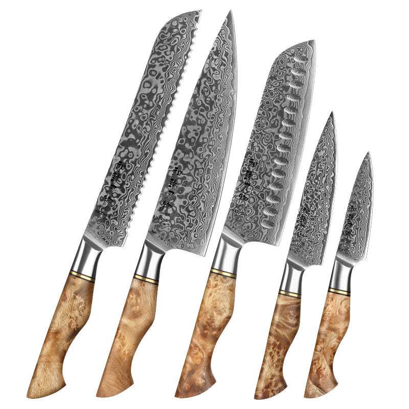 Ensemble de cinq couteaux japonais en acier damassé sur fond blanc